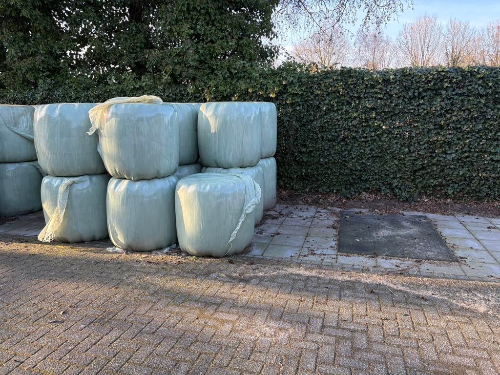 Te koop midi balen (paarden) hooi, Dieren en Toebehoren, Dierenvoeding, Ophalen, Vee
