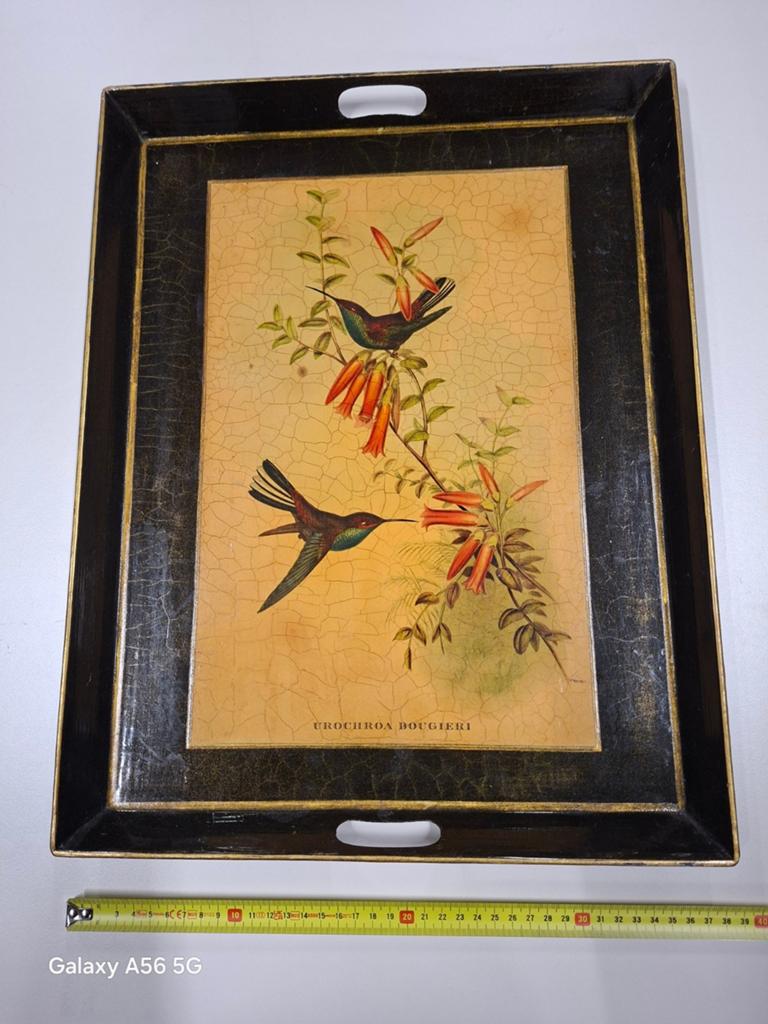 Decoratief dienblad met kolibries - Urochora Bougieri, Antiek en Kunst, Ophalen of Verzenden