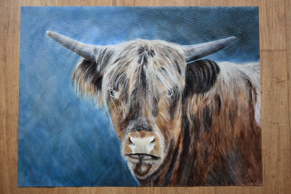 Schilderij Schotse Hooglander, ( 60 x 45 cm ), Ophalen, Oorspronkelijke maker, Nieuw, Schilderij
