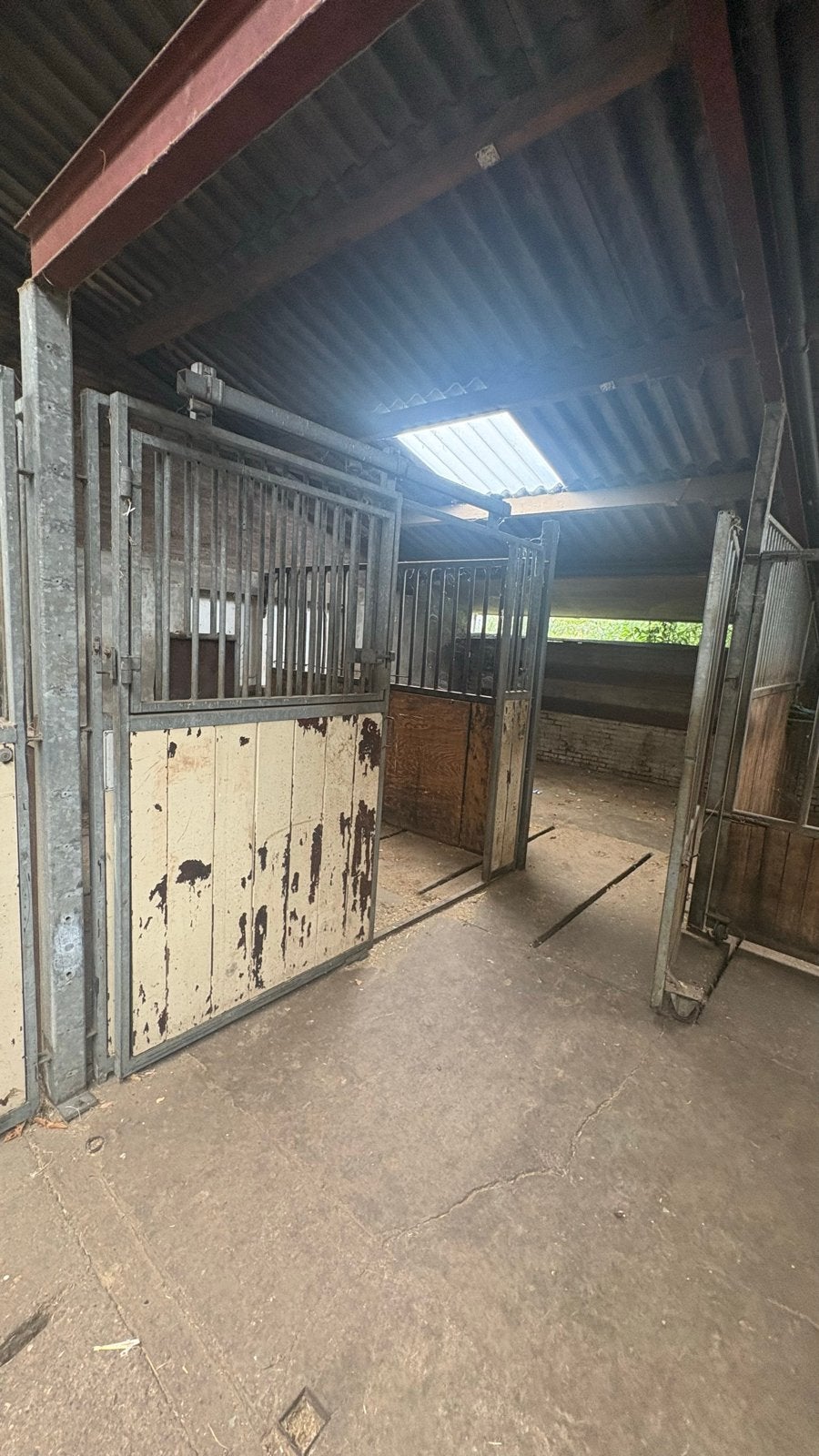 Paardenboxen in 1 koop