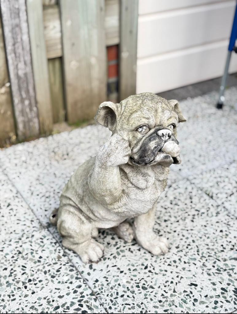 Schattig Bulldog Tuinbeeld - Beton, Tuin en Terras, Ophalen of Verzenden, Gebruikt, Beton, Dierenbeeld