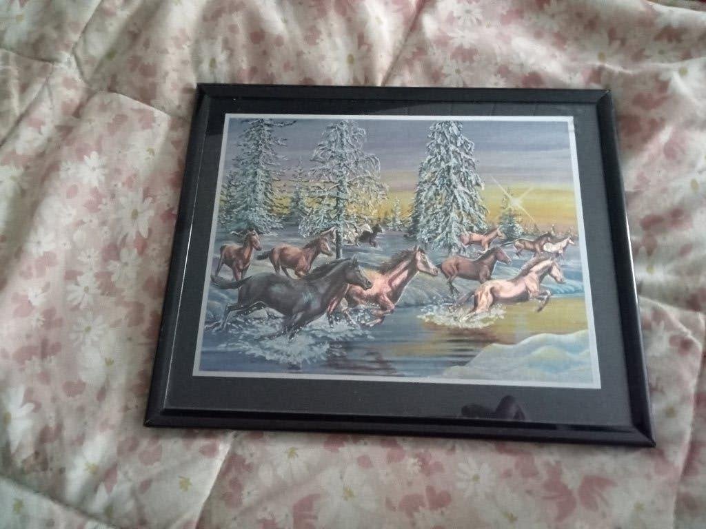 2 X SCHILDERIJ PAARDEN EN REGENBOOG DOLFIJN ZWARTE LIJST, Ophalen, Gebruikt, Foto of Poster, Minder dan 50 cm