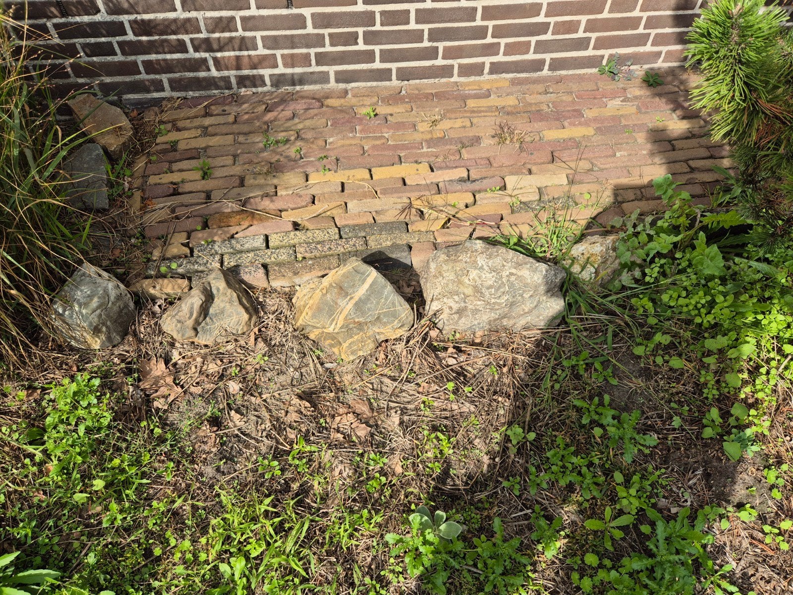 Gratis af te halen: Diverse keien voor tuin of oprit, Ophalen