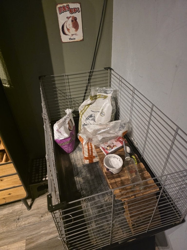 Complete set voor cavia's (kooi, waterfles, eetbak, etc.), Ophalen, Gebruikt, Overige typen