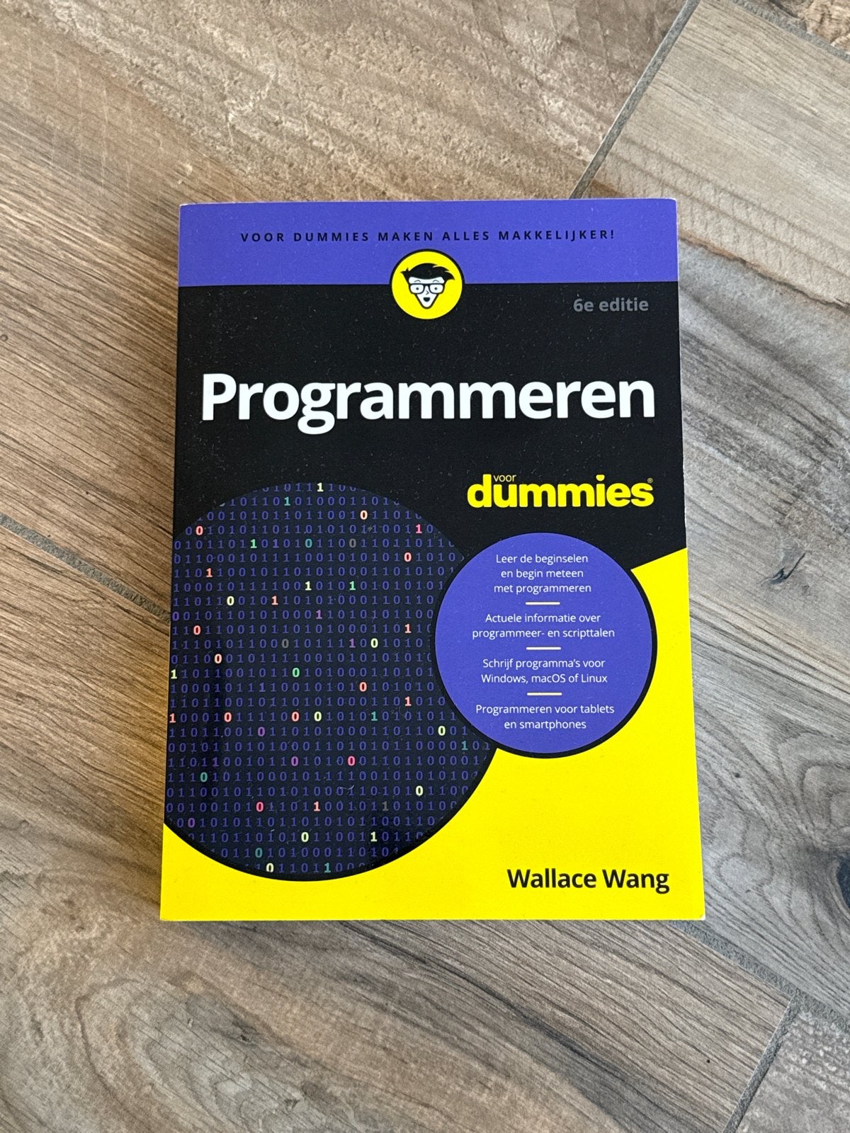 Programmeren voor Dummies - 6e editie, Boeken, Ophalen of Verzenden, Zo goed als nieuw, Programmeertaal of Theorie