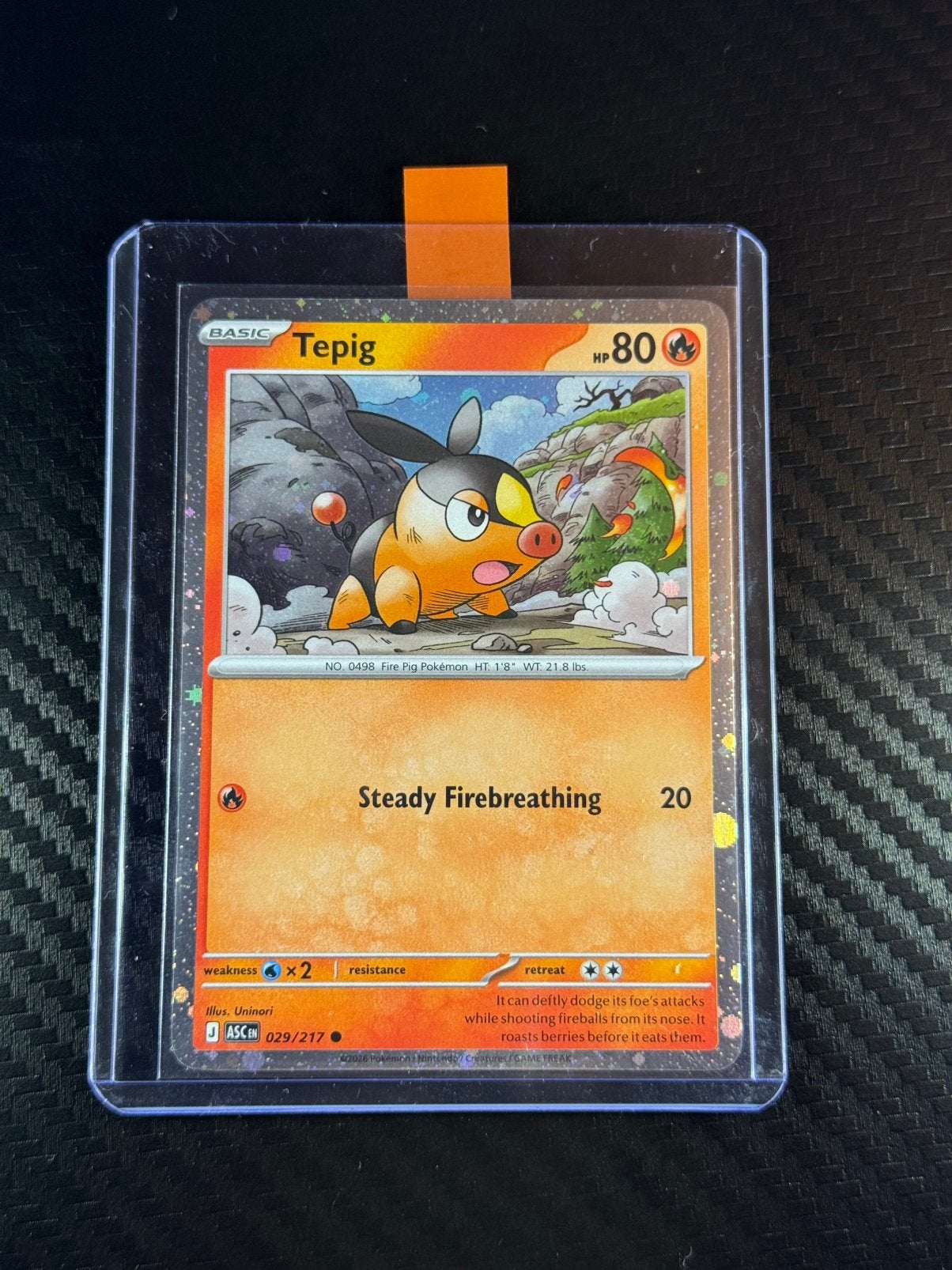Tepig | Holo | Common | Ascended Heroes | 2026 | #029/217, Verzenden, Zo goed als nieuw