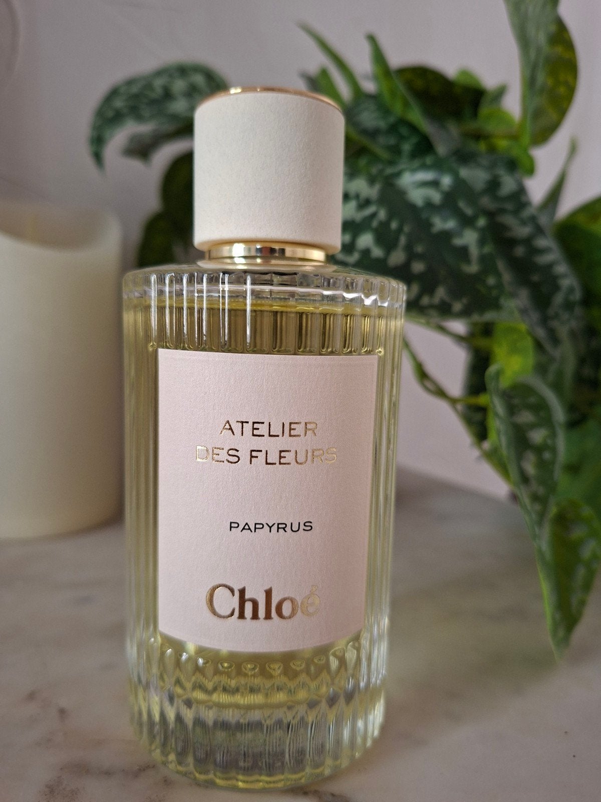 Chloé Atelier des Fleurs Papyrus Eau de Parfum 150ml, Verzenden, Zo goed als nieuw