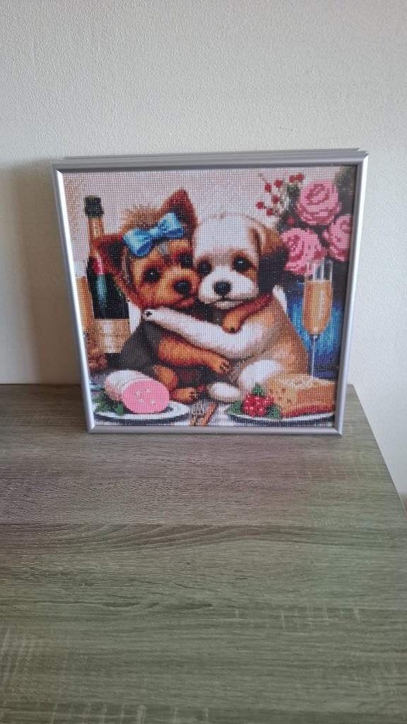 diamond painting, Hobby en Vrije tijd, Ophalen of Verzenden, Nieuw, Knutselwerk
