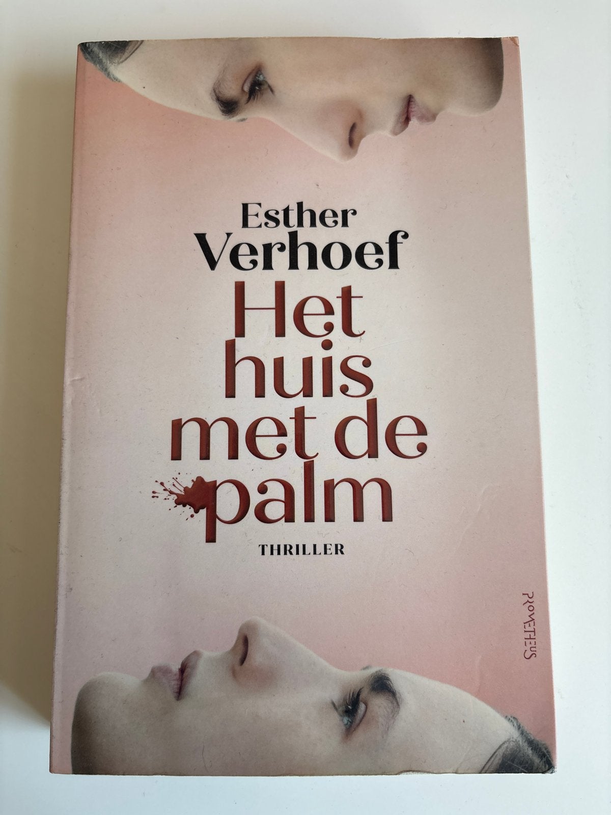 Het huis met de palm - Esther Verhoef (Thriller), Ophalen of Verzenden, Zo goed als nieuw, Nederland
