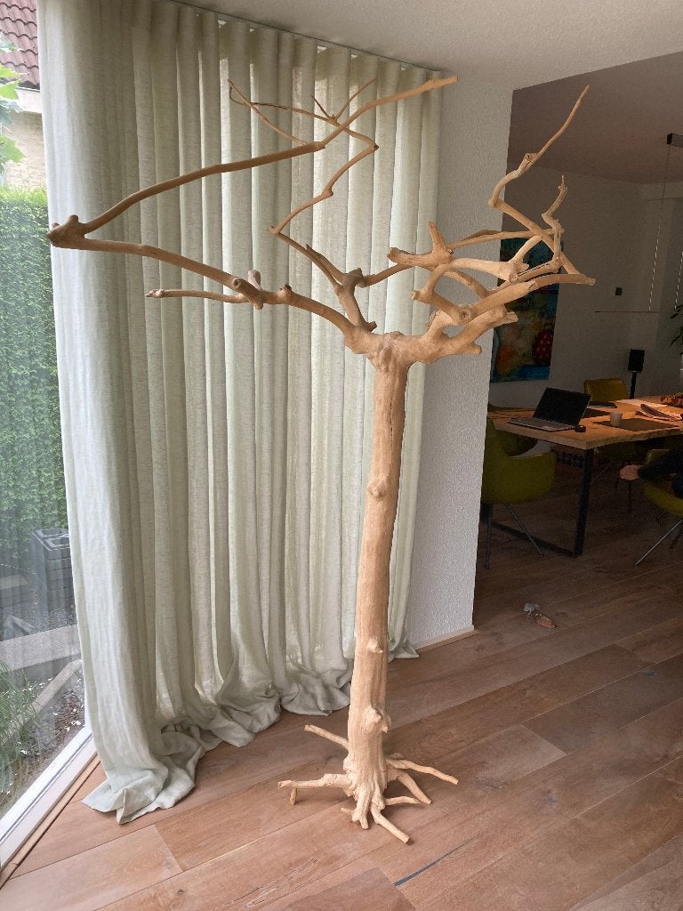Papagaaiboom, Dieren en Toebehoren, Meerdere dieren, Papegaai