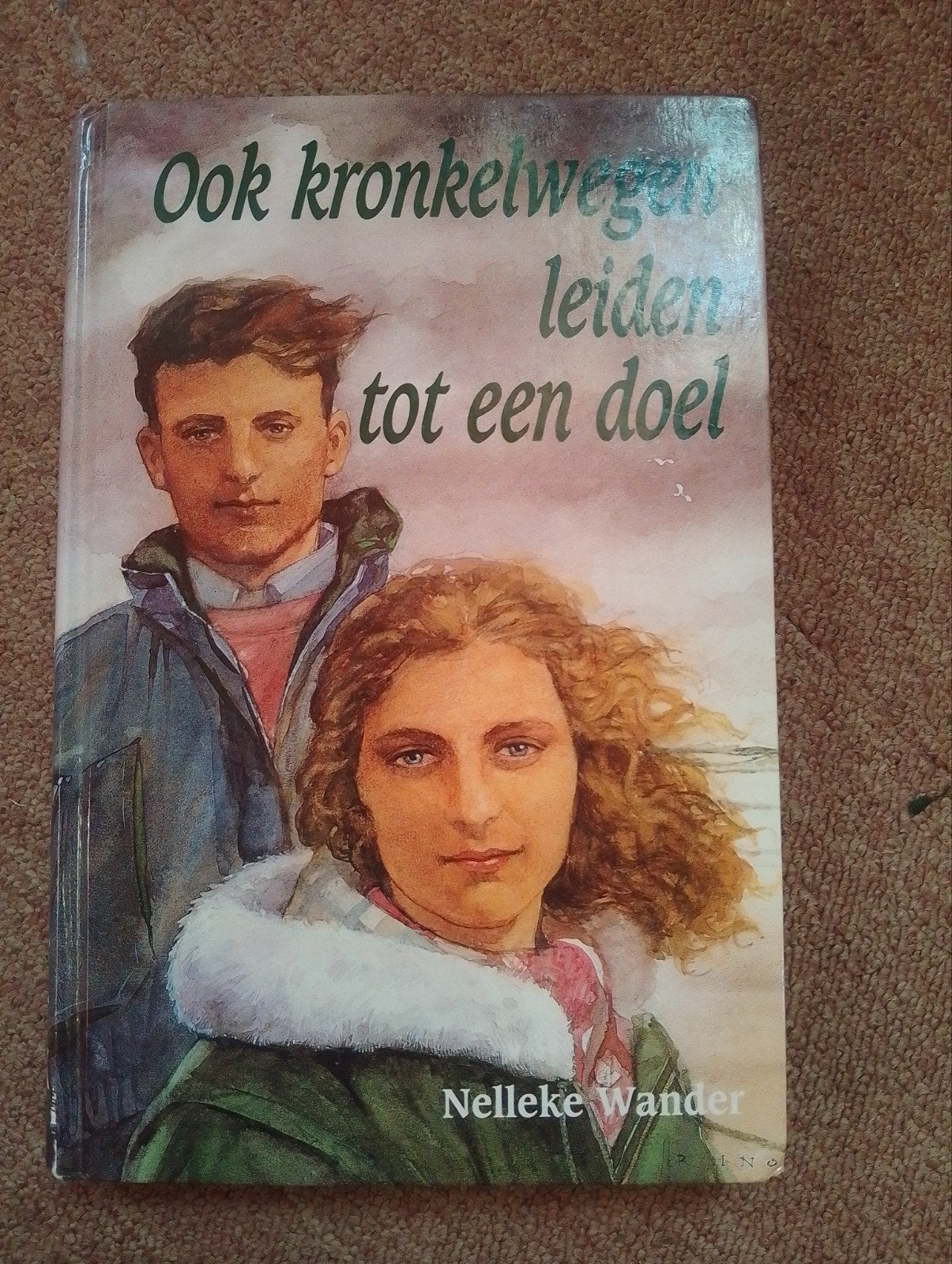 Ook kronkelwegen leiden tot een doel - Nelleke Wander, Boeken, Ophalen of Verzenden, Gelezen, Nelleke Wander