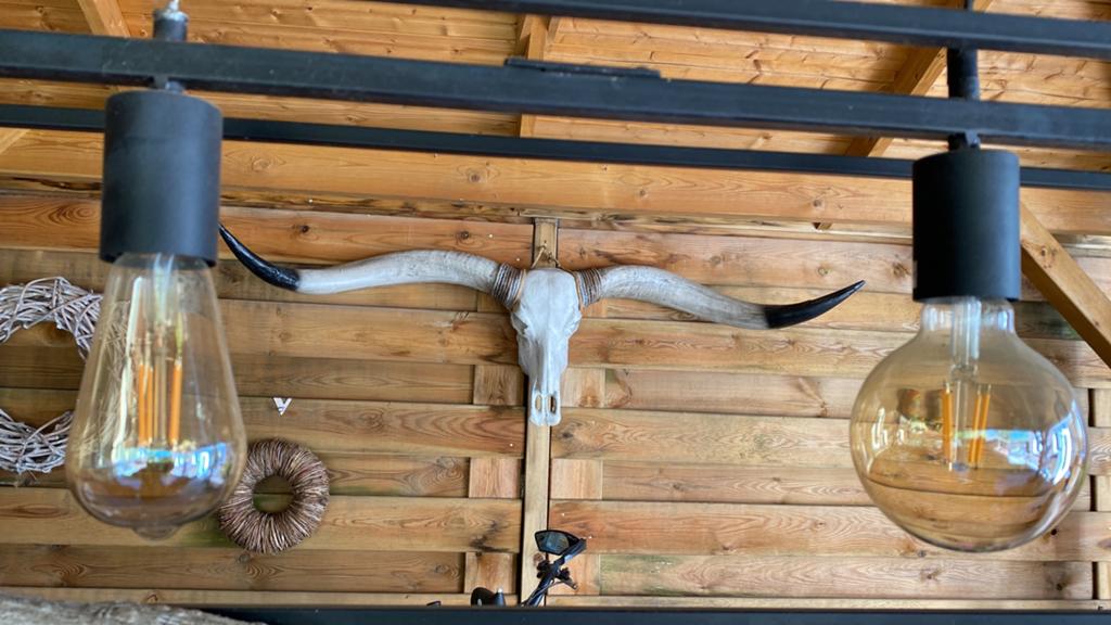 Skull buffel 170 breed, Overige materialen, Ophalen of Verzenden, Zo goed als nieuw, Staande kapstok