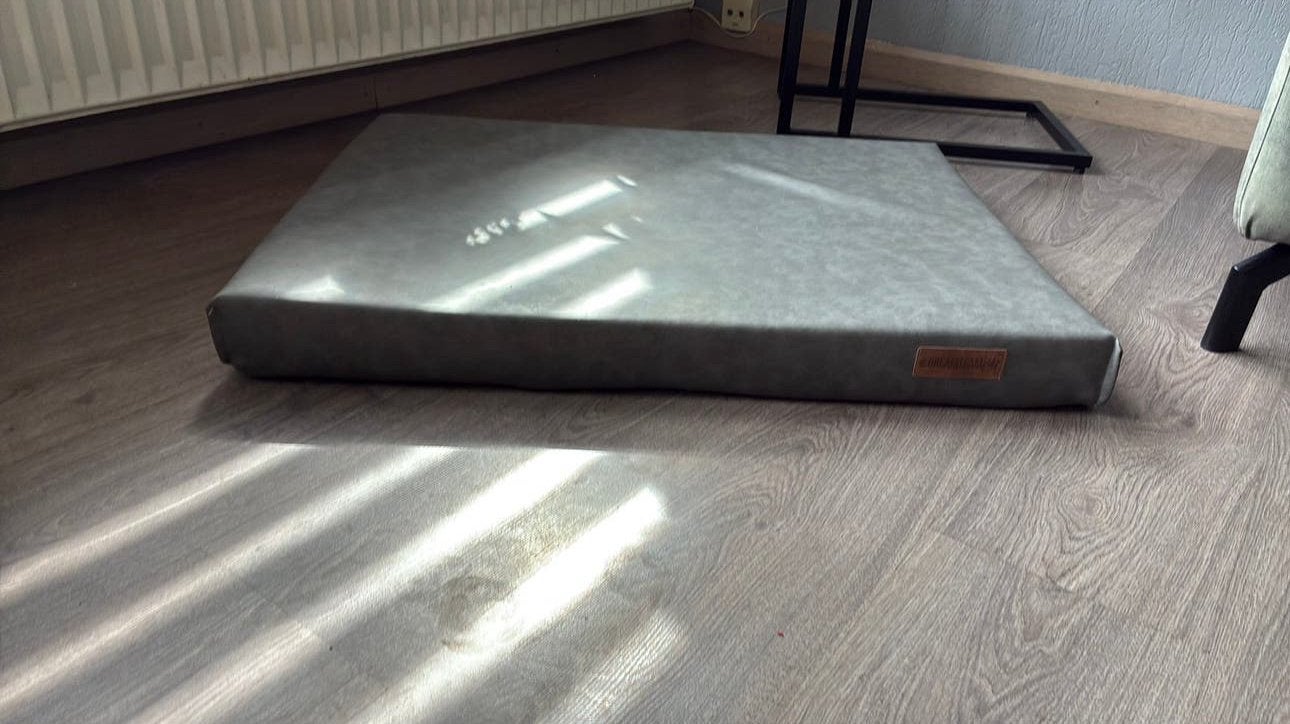 Groot hondenkussen matras, Ophalen, Zo goed als nieuw, Leer