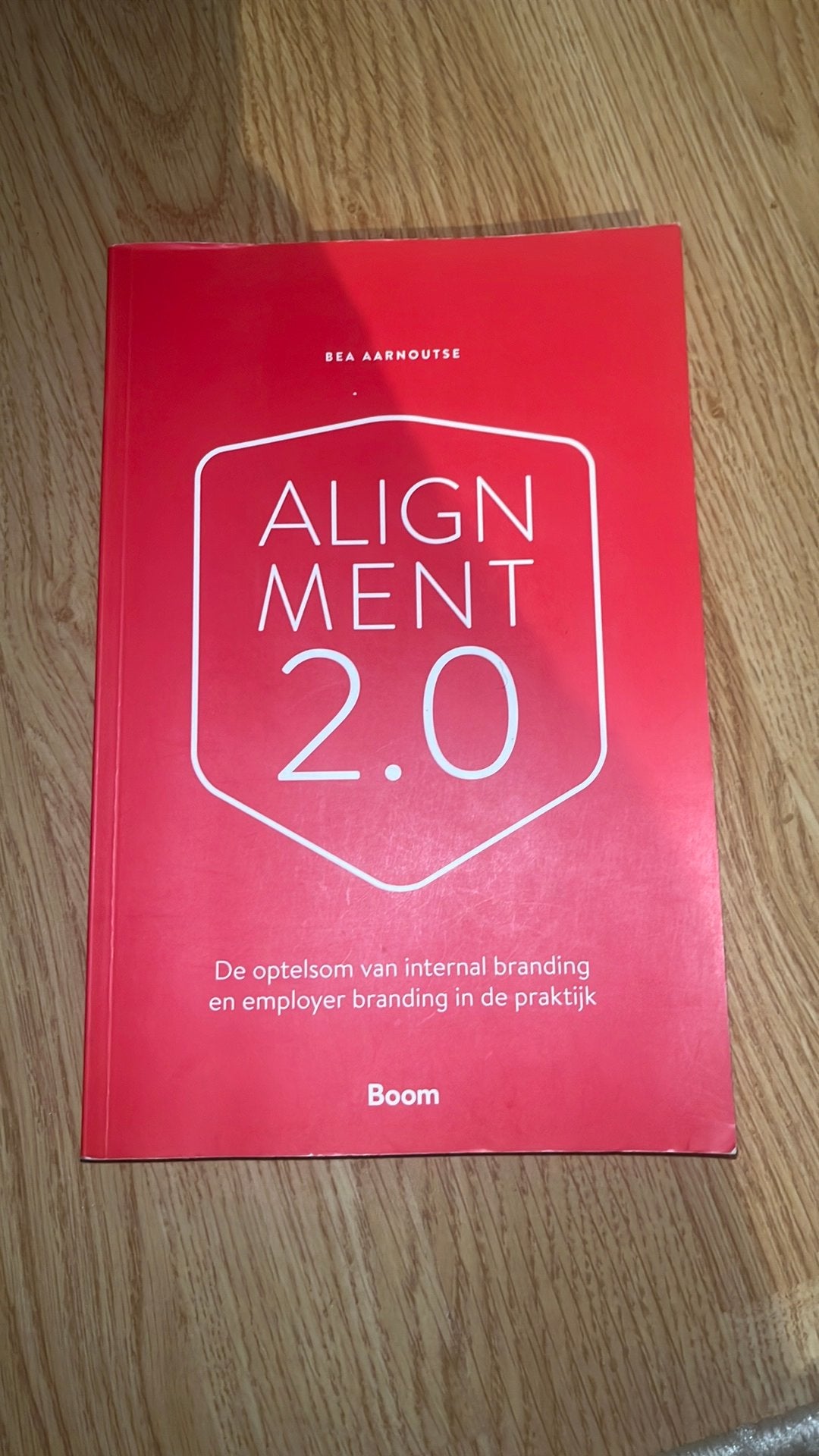Alignment 2.0, Sociale wetenschap, Ophalen of Verzenden, Zo goed als nieuw, Bea Aarnoutse