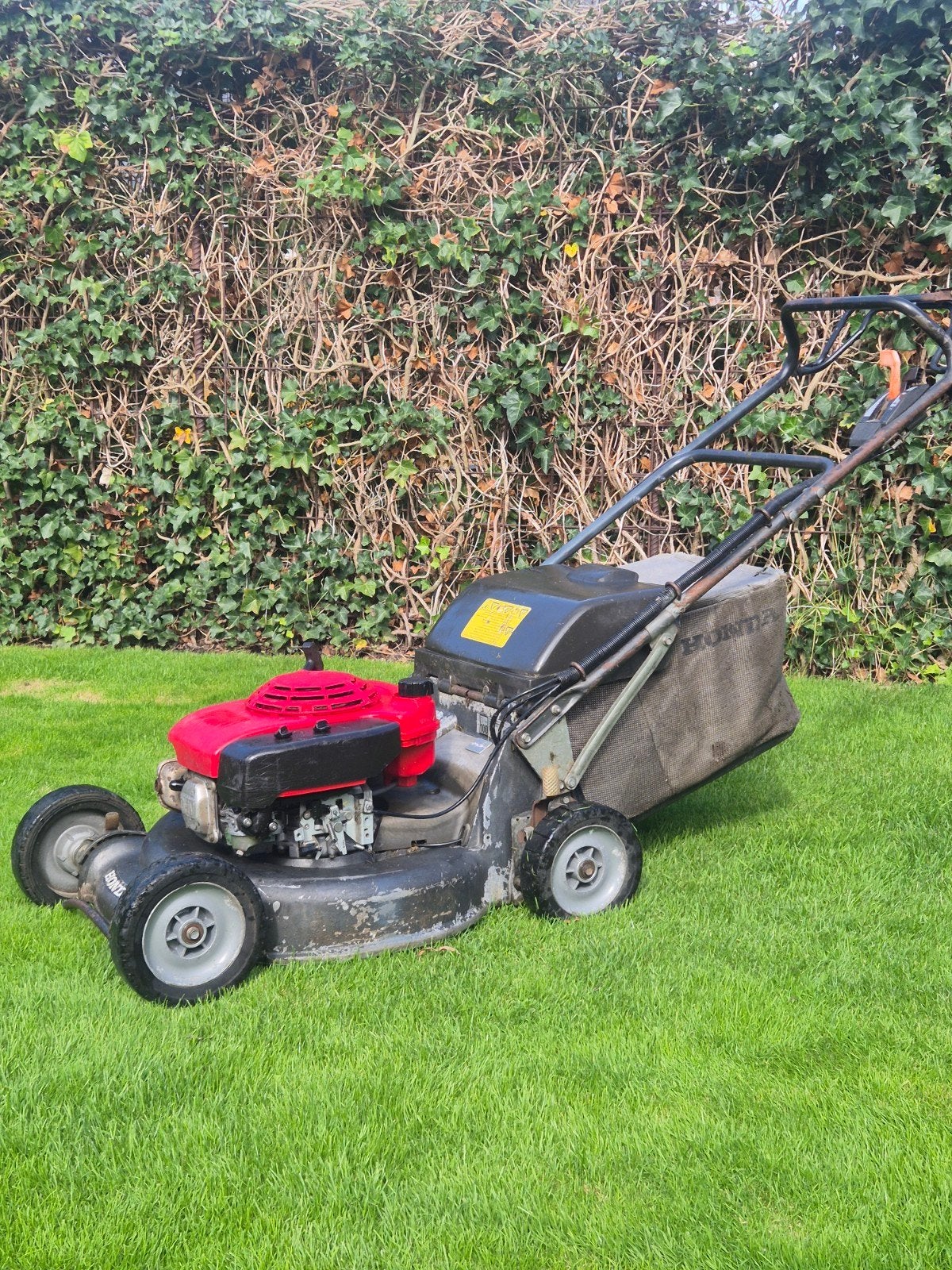 HONDA HRH 536 PRO, Ophalen, 50 cm of meer