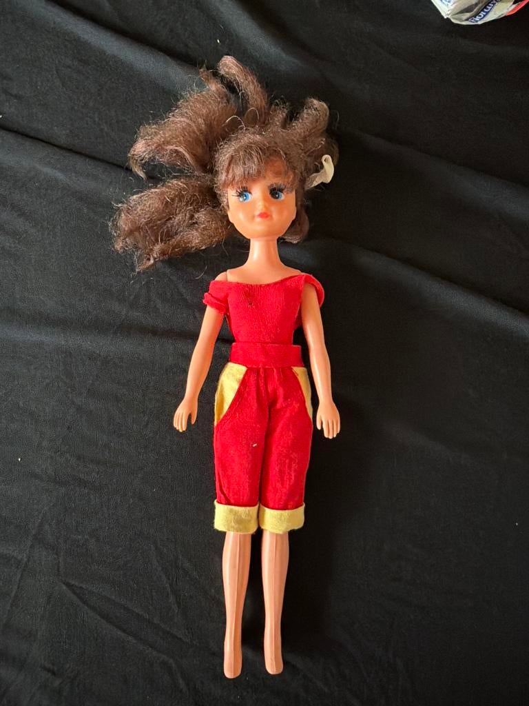 Vintage Fleur pop - Barbie-achtig, Ophalen of Verzenden, Gebruikt, Overige typen