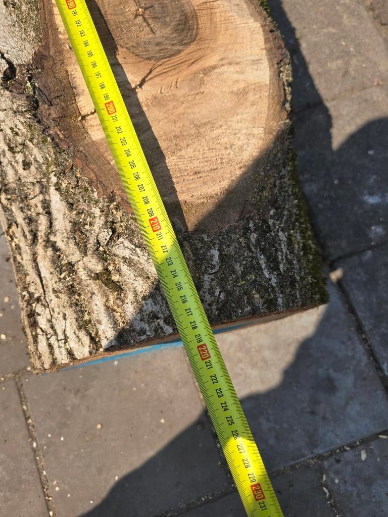 Walnoot boomstam - Uniek stuk voor uw project, Doe-het-zelf en Verbouw, Hout en Planken, Ophalen, Gebruikt, Overige typen, 50 mm of meer