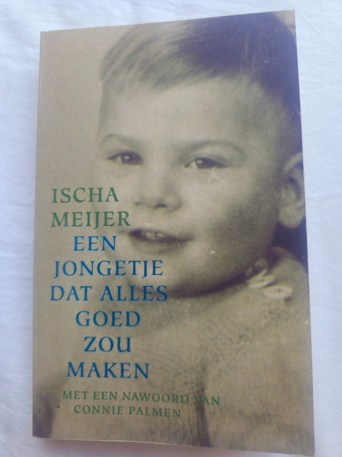 Ischa Meijer - Een jongetje dat alles goed zou maken, Ophalen of Verzenden, Zo goed als nieuw, Ischa Meijer, Nederland