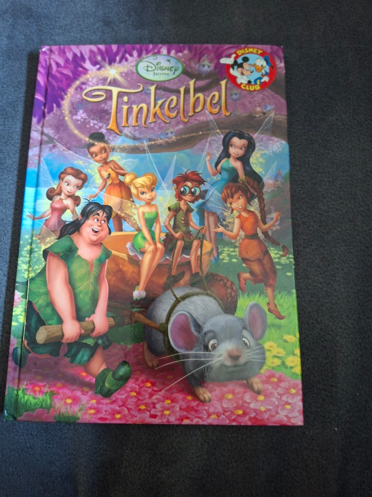 Disney Tinkelbel Boek - Zo goed als nieuw, Boeken, Ophalen of Verzenden, Zo goed als nieuw, Disney, Sprookjes