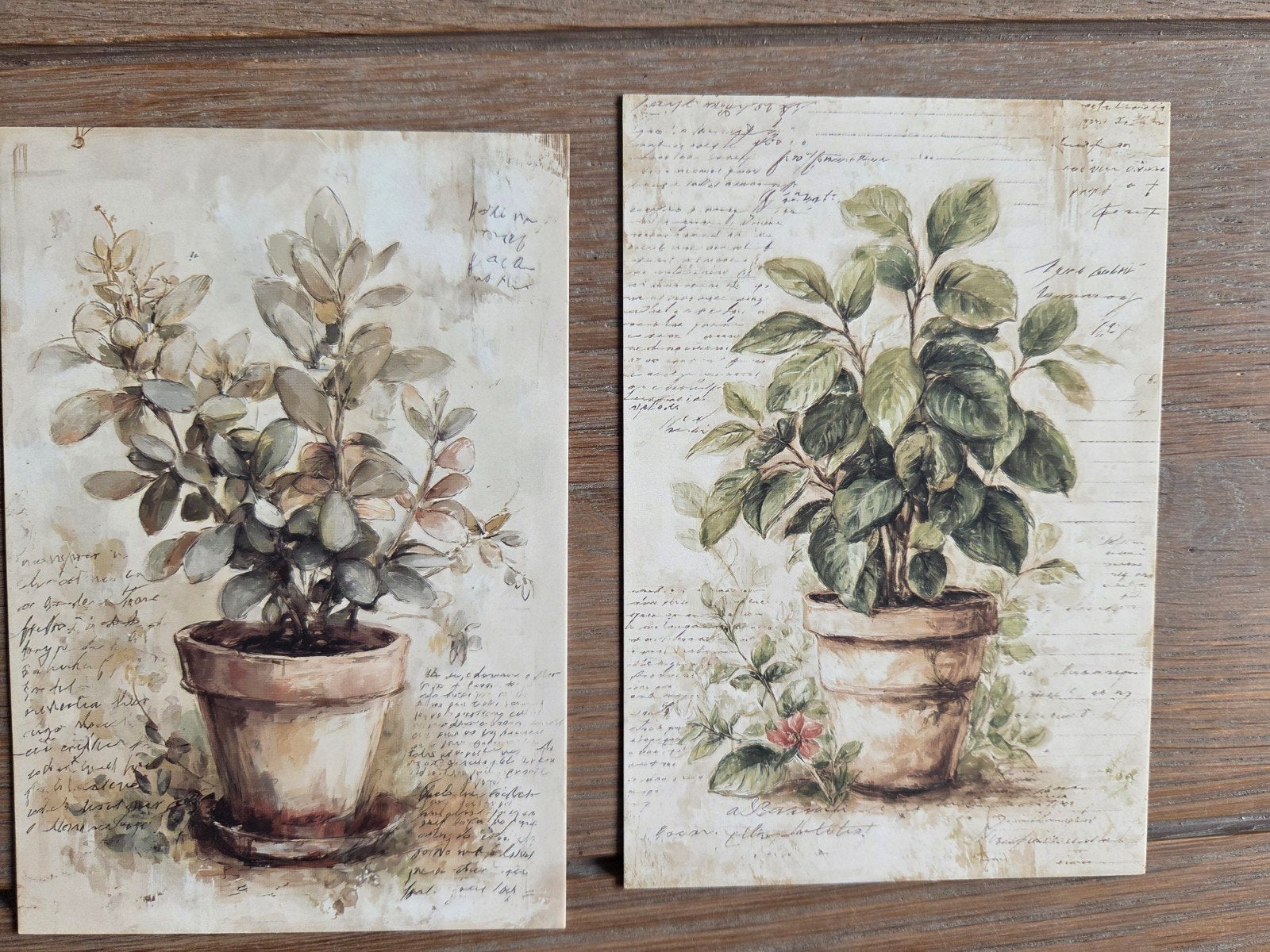 PLANTEN 1, Ophalen
