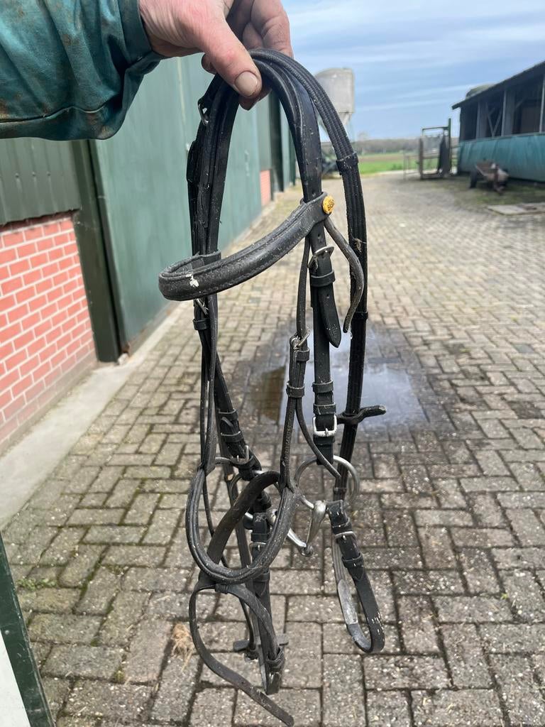 Pony hoofdstel, Dieren en Toebehoren, Paarden en Pony's | Hoofdstellen en Tuigage, Ophalen of Verzenden, Gebruikt, Overige soorten