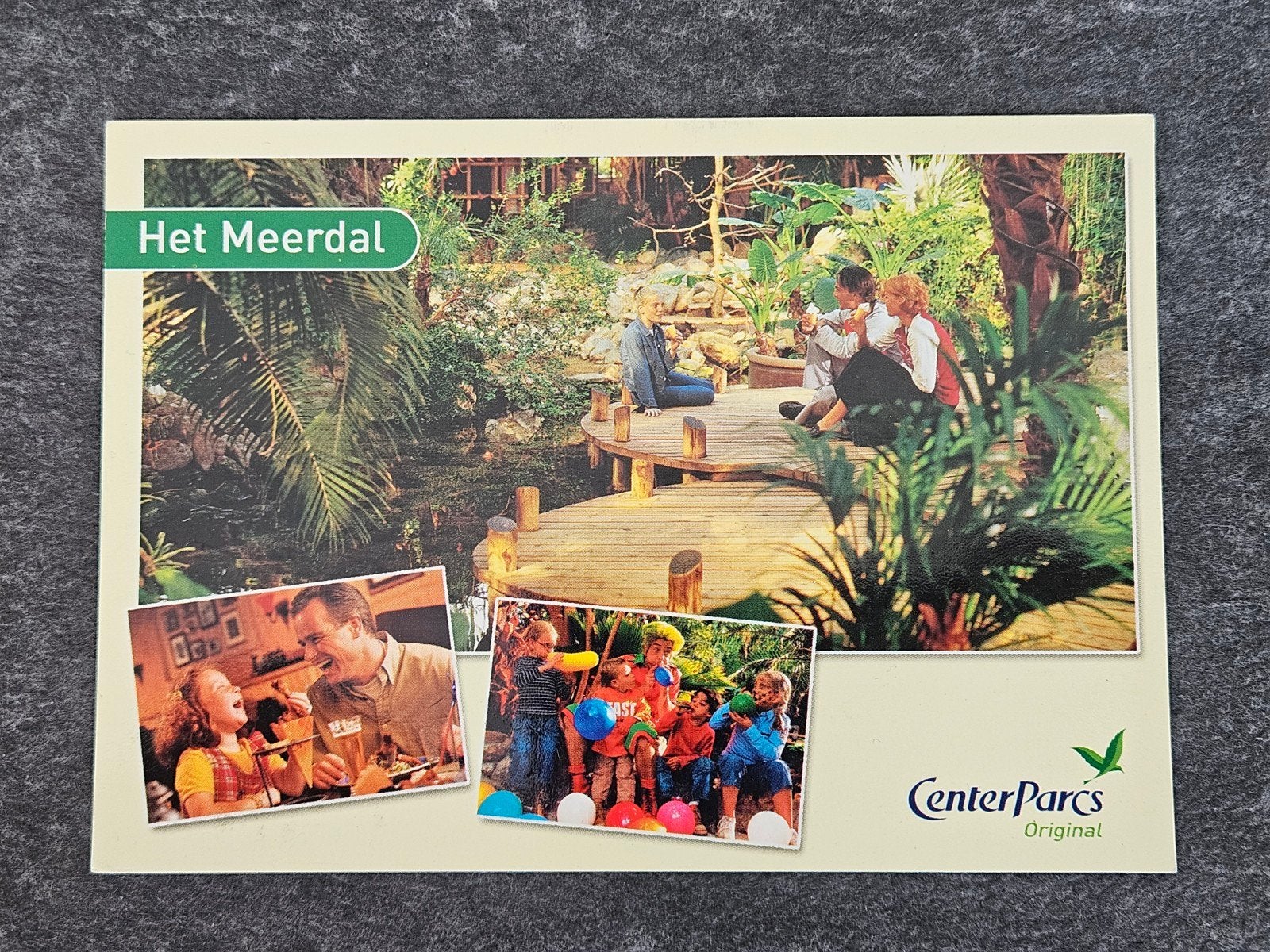 Centerparcs Het Meerdal Ansichtkaart Gelopen, Ophalen of Verzenden, 1980 tot heden