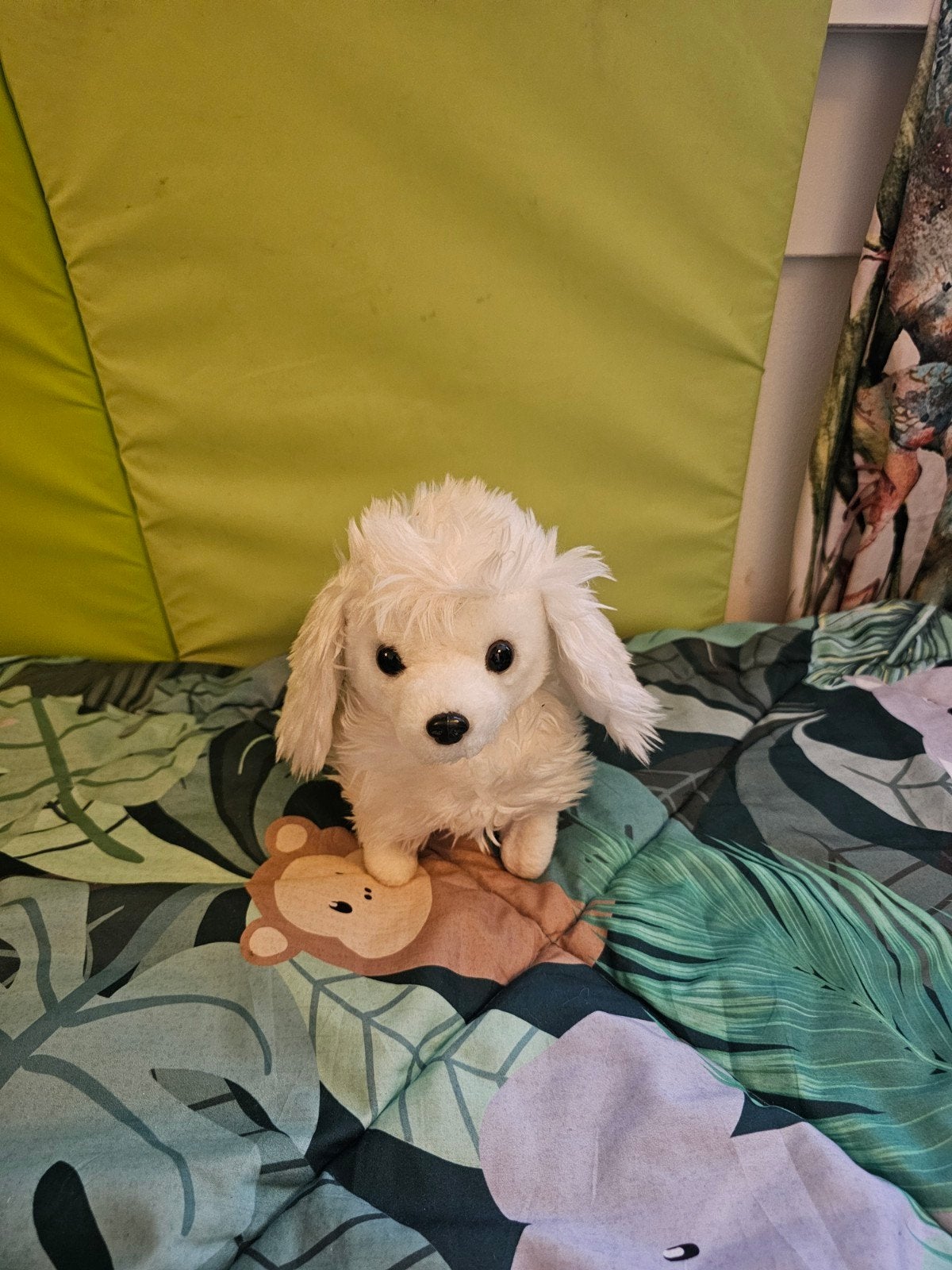 Schattige witte poedel knuffel - Zo goed als nieuw, Overige merken, Overige karakters, Zo goed als nieuw, Klein (minder dan 20 cm)