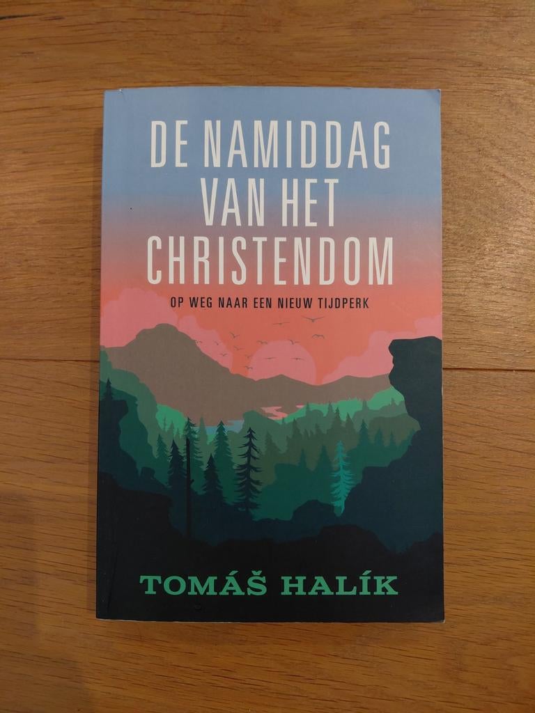 Tomas Halik - De namiddag van het christendom, Boeken, Ophalen of Verzenden, Zo goed als nieuw, Tomas Halik