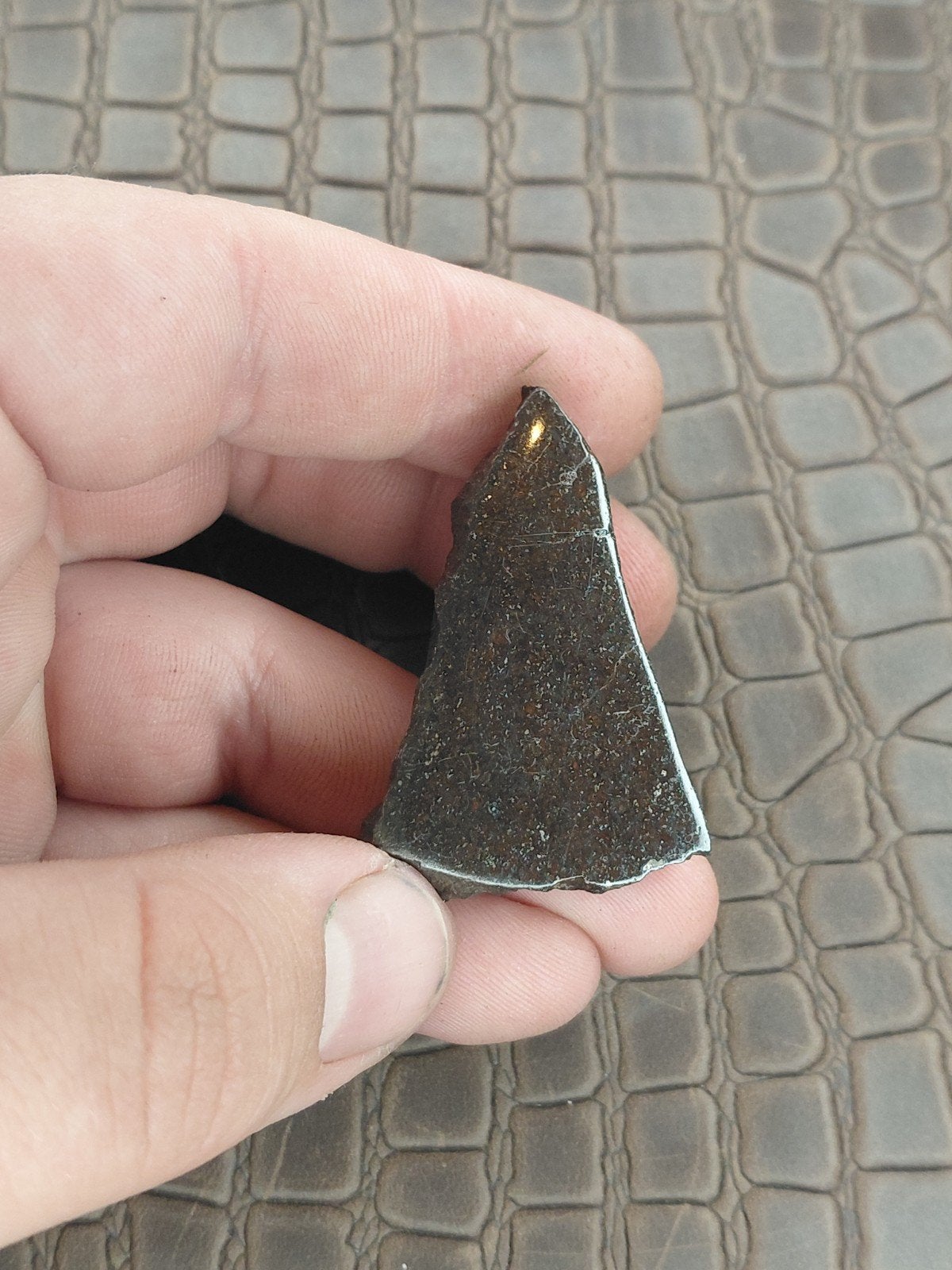 Gezaagd plakje Steen meteoriet 20gr, Verzenden