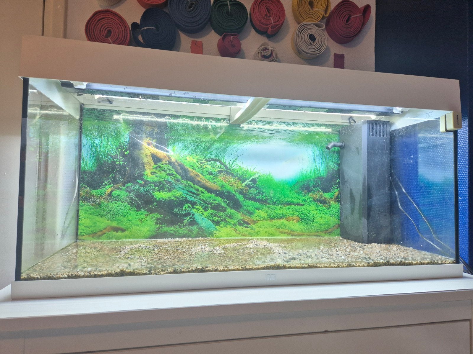 Juwel aquarium rio 180 led. 101x41x50 cm. Wit. 180 liter., Dieren en Toebehoren, Vissen | Aquaria en Toebehoren, Zo goed als nieuw