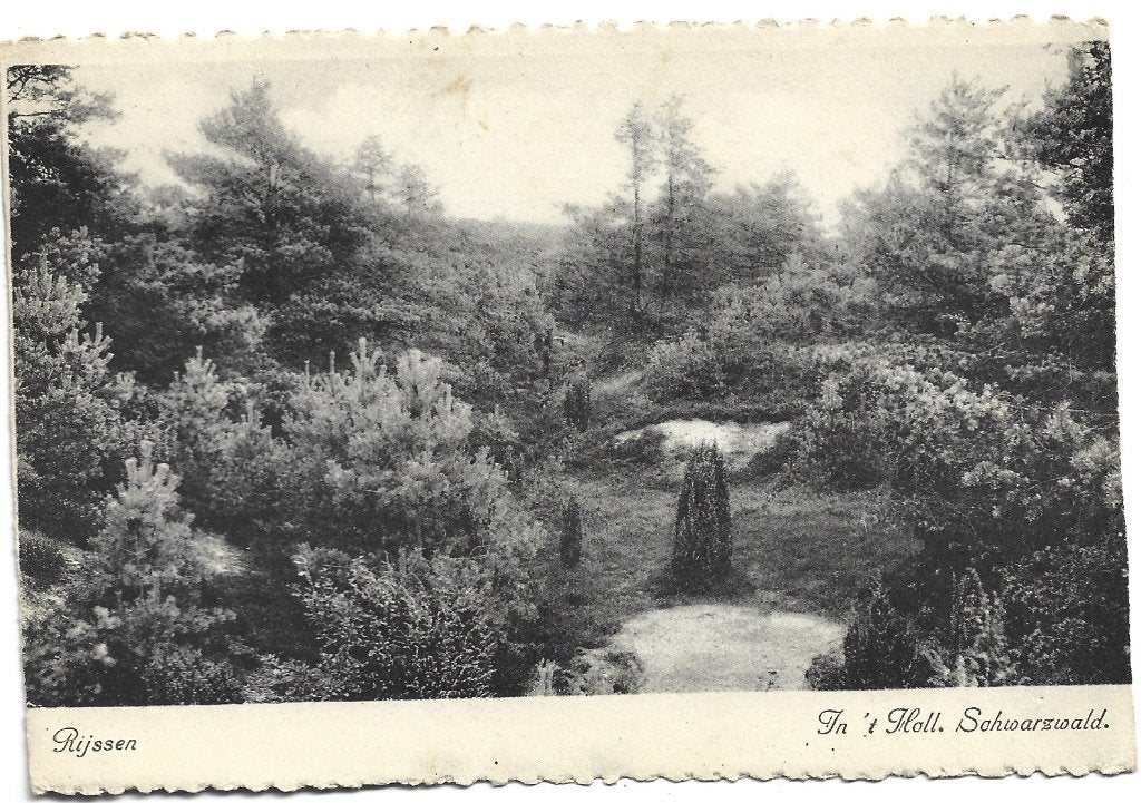 Rijssen;  In 't Holl. Schwarzwald, Verzenden, 1940 tot 1960, Gelopen, Overijssel