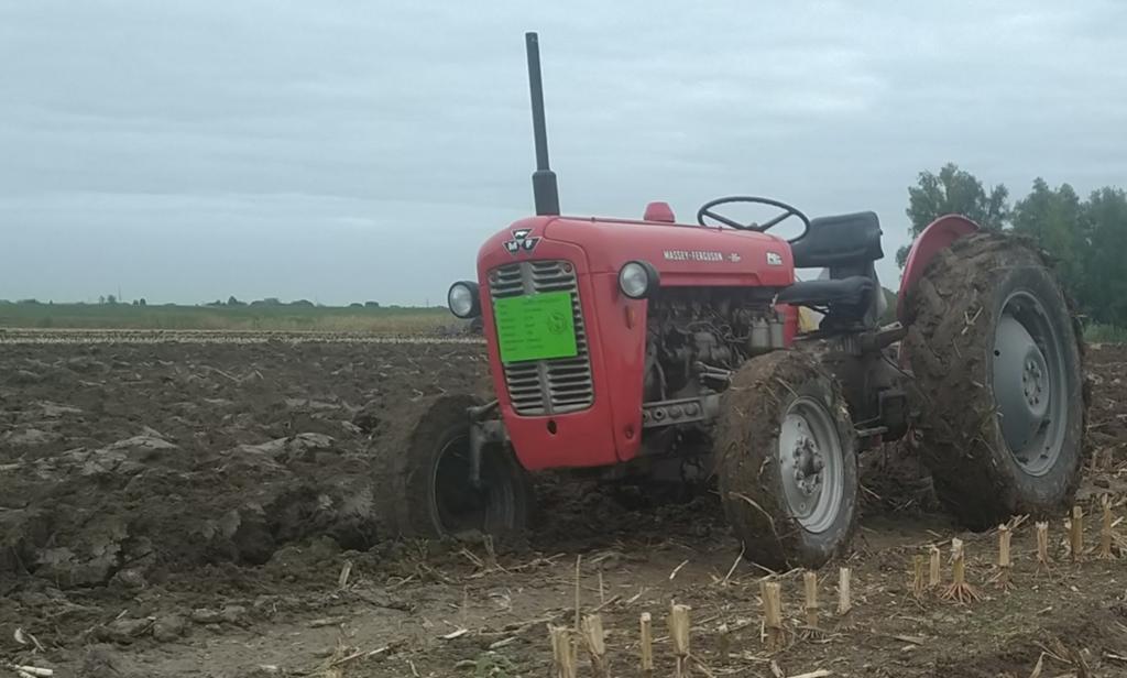 Te koop massey ferguson 35 mf 35 4 cilinder, Ophalen of Verzenden, Gebruikt, Tot 80 Pk, Ford