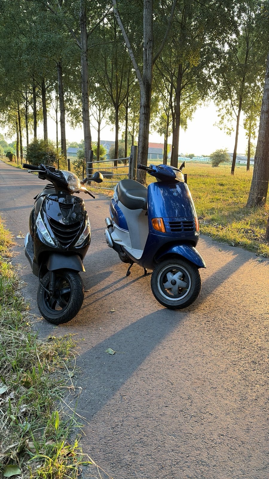 Piaggio quartz, Ophalen of Verzenden, Zo goed als nieuw, Tweetakt, Overige modellen