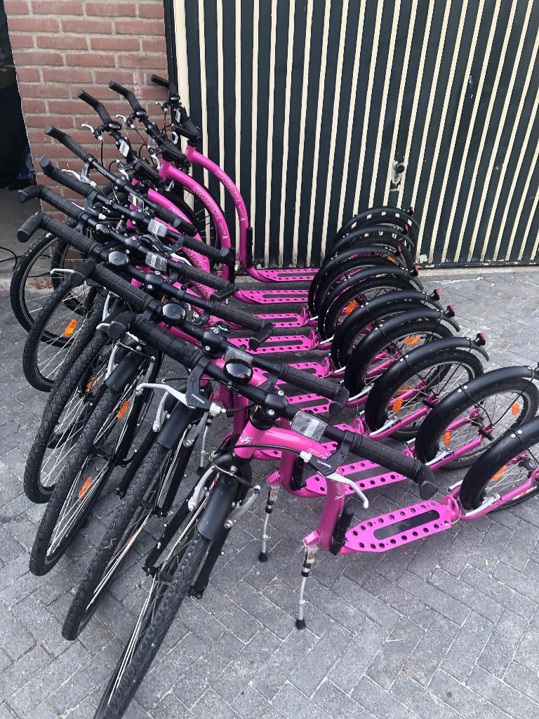 Steps te huur in Hengelo Gld - Actief dagje uit!, Ophalen of Verzenden, Gebruikt, Kickbike