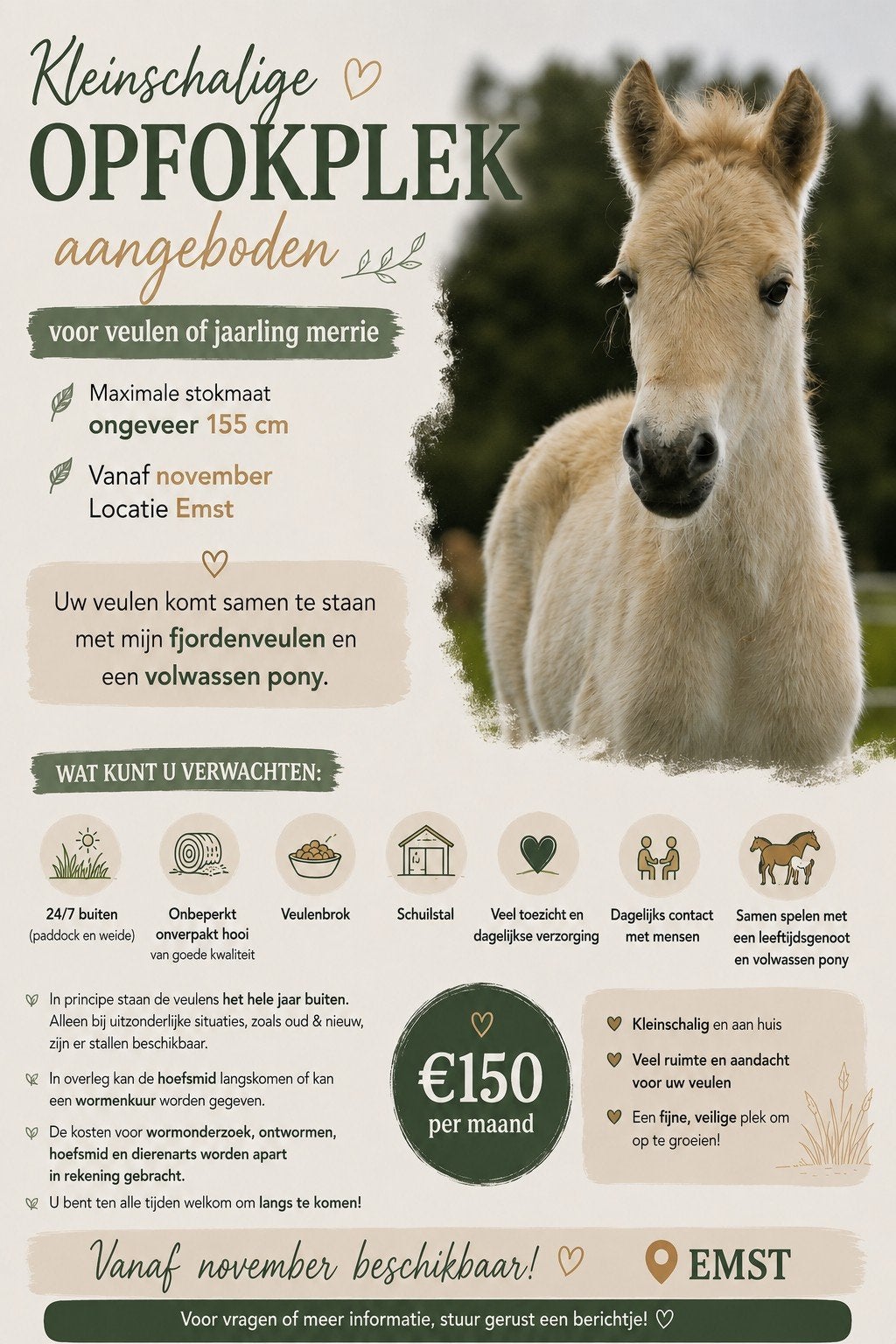 opfokplekje beschikbaar vanaf november., Weidegang, 2 of 3 paarden of pony's