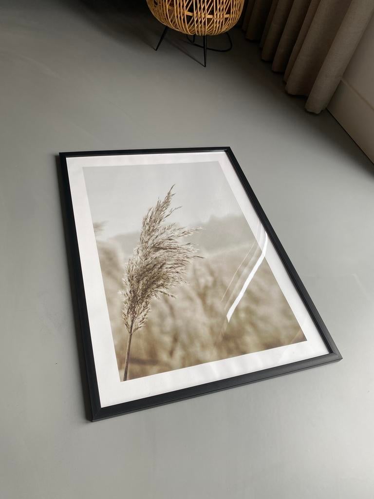 Fotolijst zwart met poster Posterstore 50x70 cm, Ophalen, 50 tot 75 cm, Zo goed als nieuw, 50 tot 75 cm
