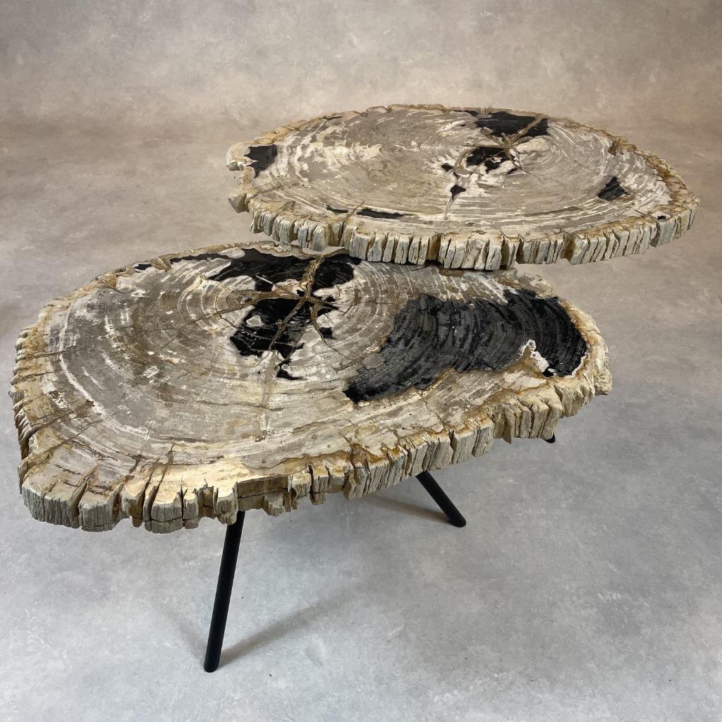 Versteend Hout Salontafels, Huis en Inrichting, Tafels | Salontafels, Ophalen of Verzenden, Nieuw