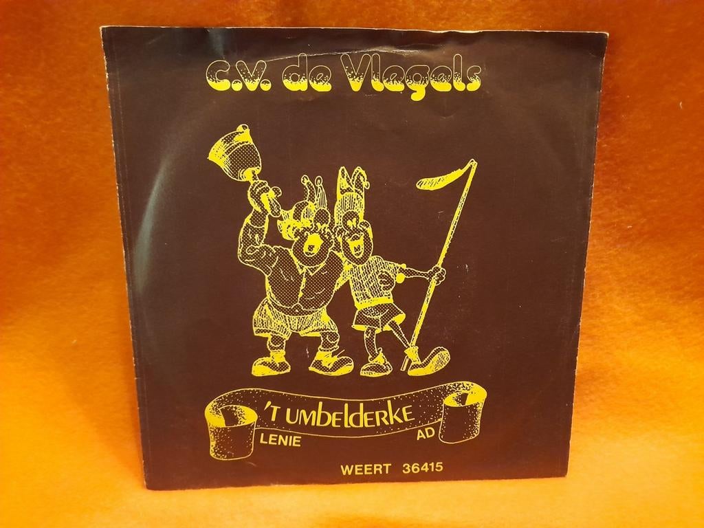Sunny Boys-Ut Vleegelrieëk/Ut Vlegellieëd (1979), Gebruikt, 7 inch, Single, Ophalen of Verzenden