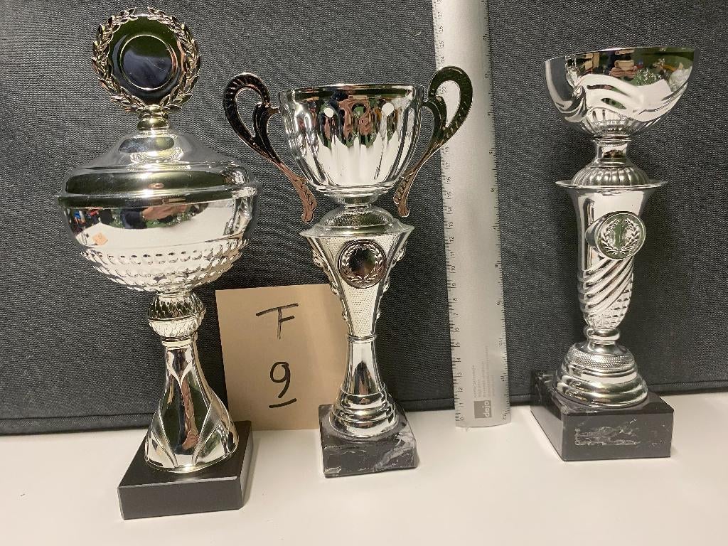Trofeeën/wedstrijdbekers/sportprijzen/bokalen, set 9, Ophalen of Verzenden, Gebruikt