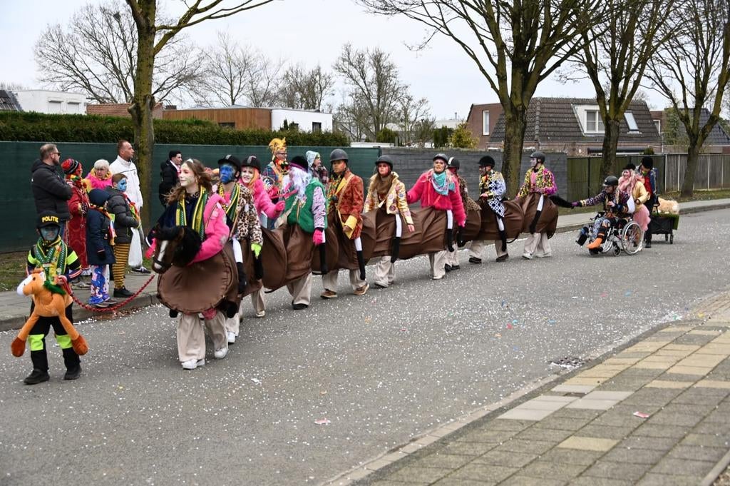 Carnavalskostuum Loopgroep Paard - 10 Personen, Kleding | Dames, Carnavalskleding en Feestkleding, Zo goed als nieuw, Kleding