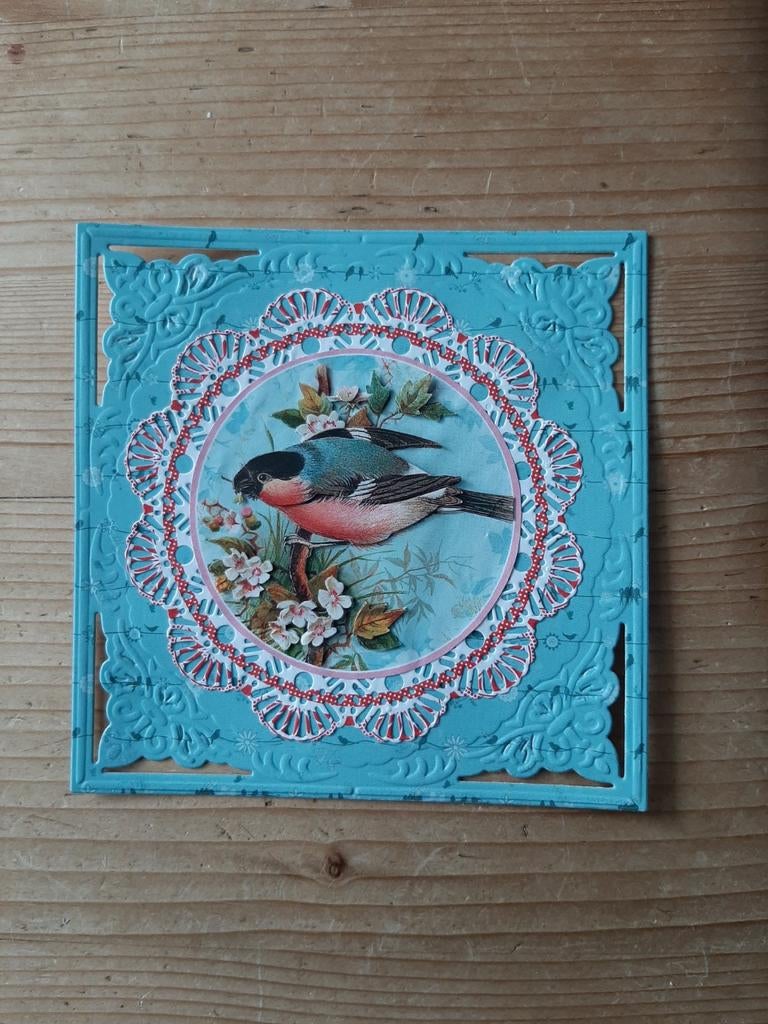 Stans kaart opleg met 3d plaatje vogel, Ophalen of Verzenden, Nieuw, Overige thema's
