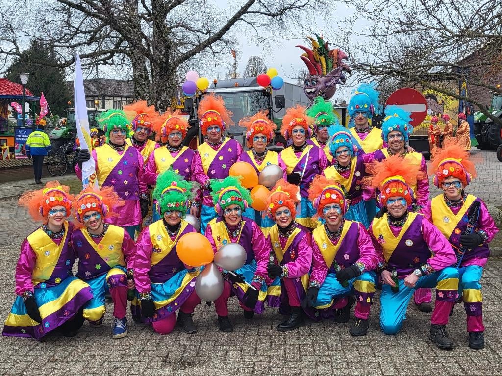 loopgroep carnaval, Ophalen, Carnaval, Maat 42/44 (L), Zo goed als nieuw