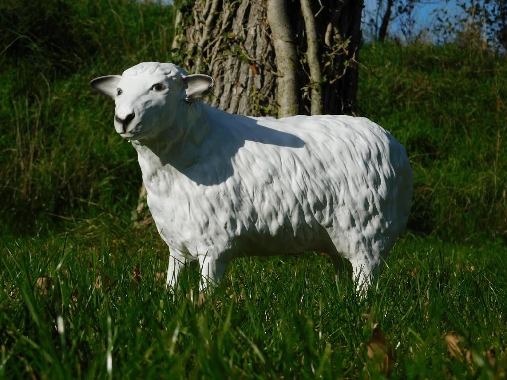 Beeld Schaap - 45 cm - Polystone, Verzamelen, Beelden en Beeldjes, Zo goed als nieuw, Dier, Ophalen of Verzenden