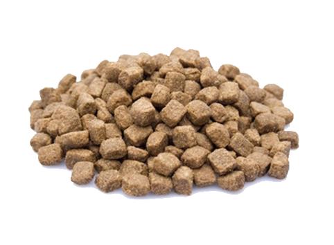 HONDENVOER - van volledige voeding tot snacks!, Ophalen of Verzenden, Hond