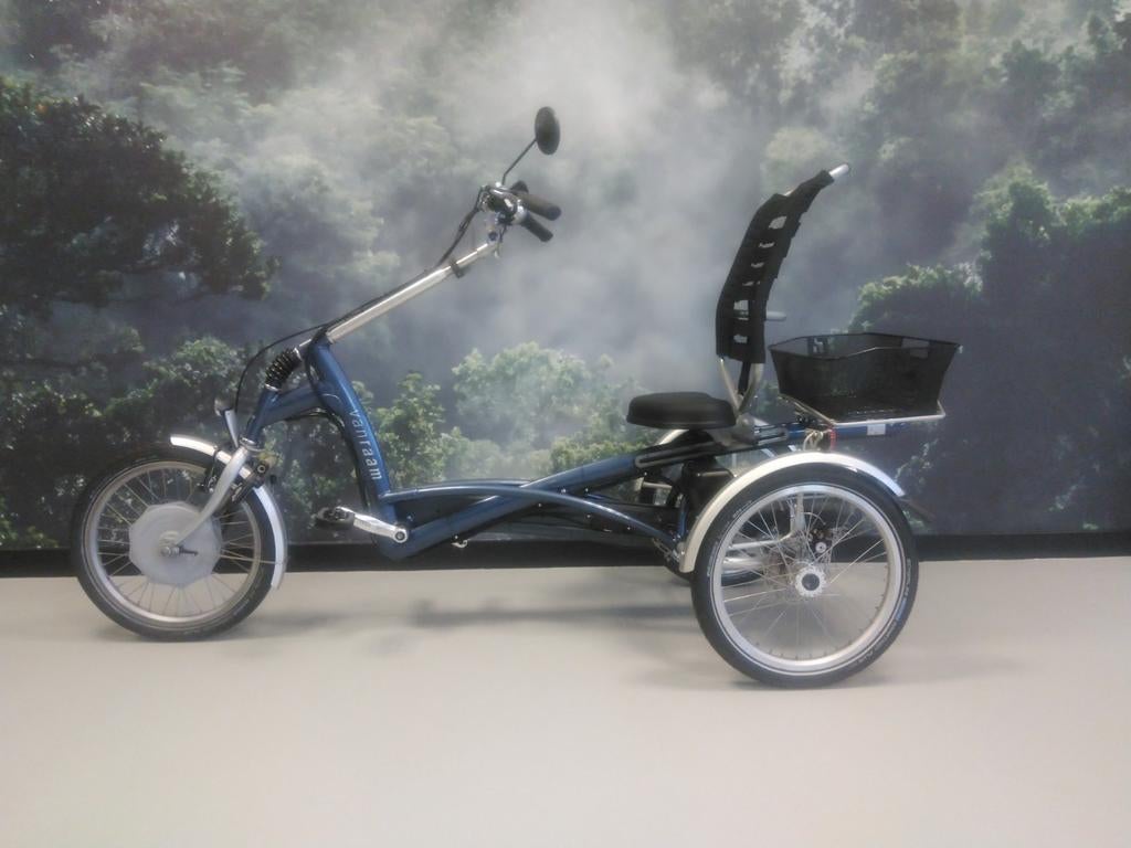 Van Raam Easy Rider, Fietsen en Brommers, Fietsen | Driewielfietsen, Gebruikt, Ophalen of Verzenden