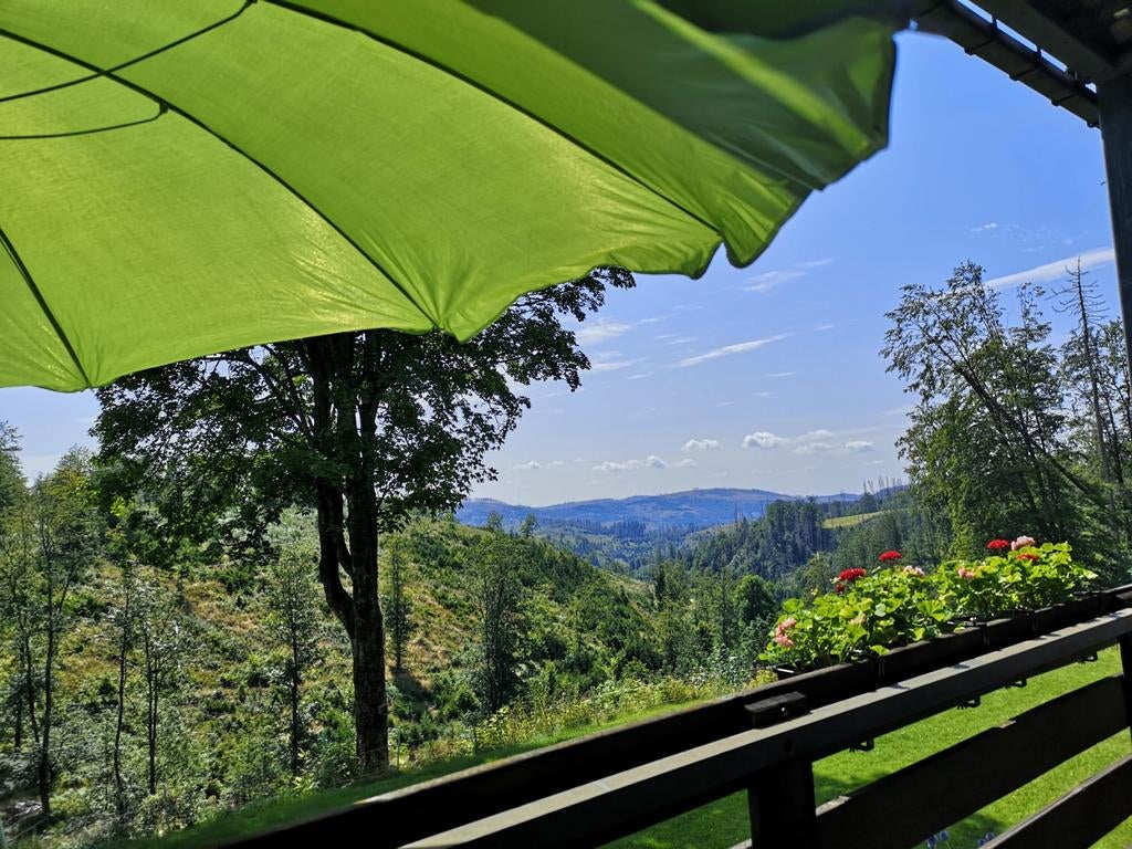 Vakantiewoning in de Harz met vrij uitzicht op bergen & bos, 2 slaapkamers, Harz, Appartement, Landelijk
