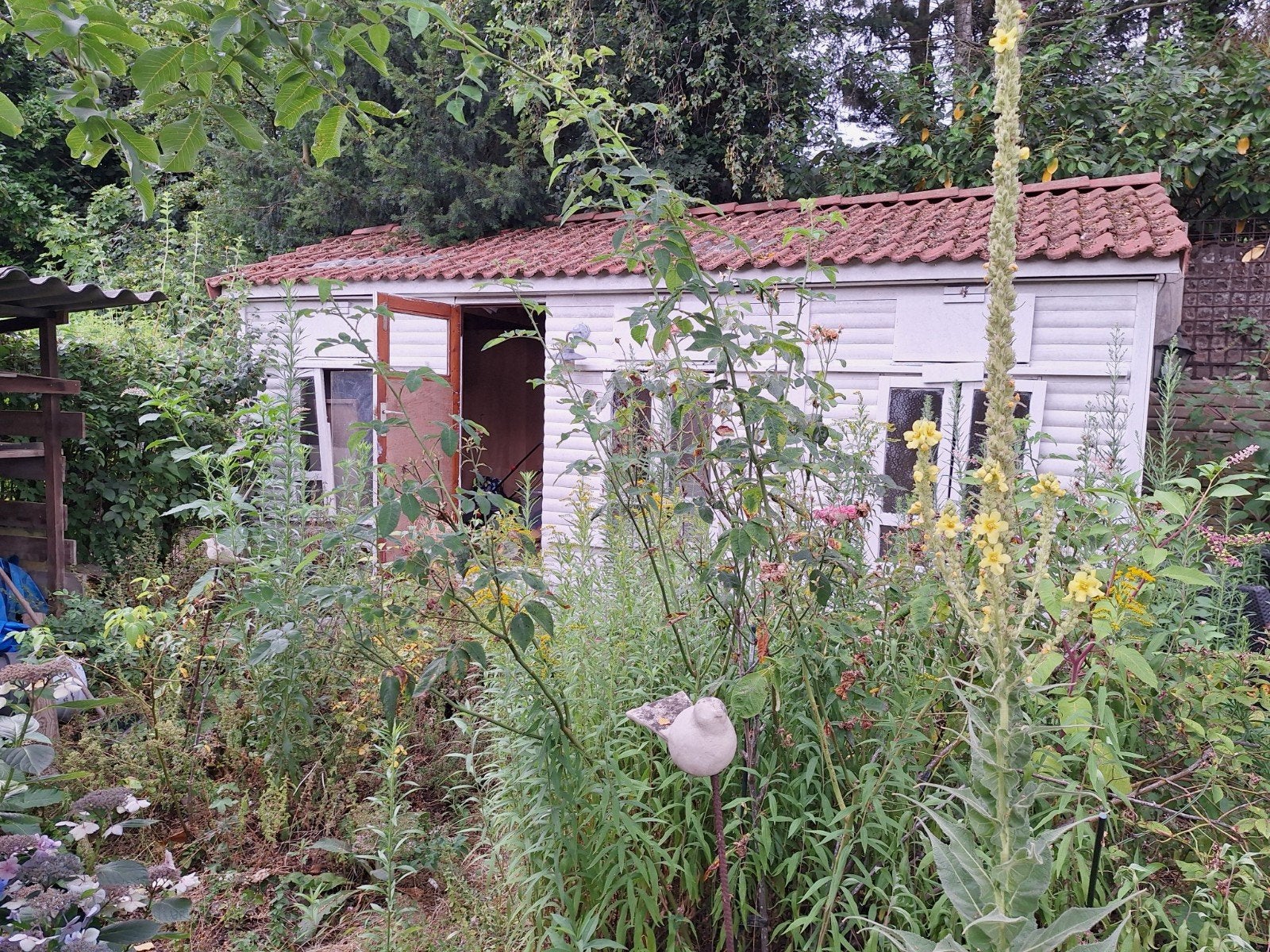 Gratis af te halen: Duivenhok/Tuinhuis 6x2.6m met pannendak, Tuin en Terras, Ophalen, Tuinhuis, 2 ramen, 500 cm of meer