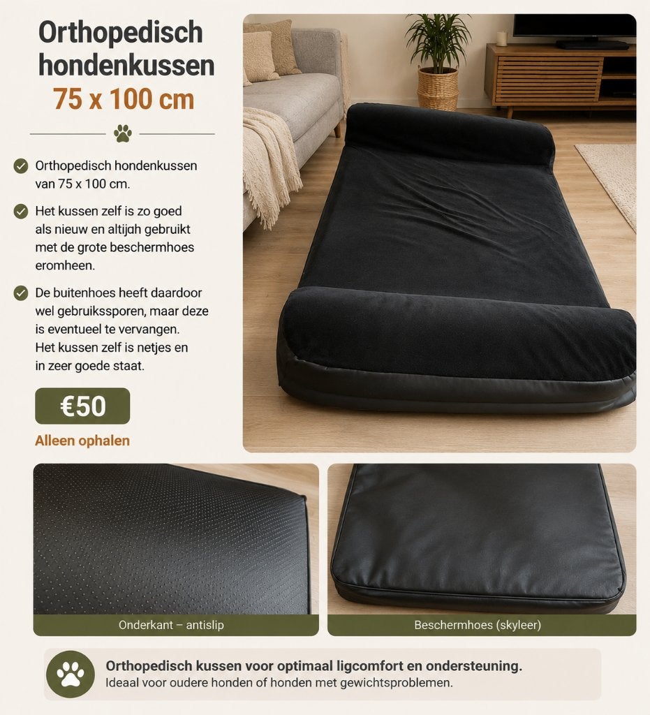 Orthopedisch hondenkussen, Ophalen, Zo goed als nieuw, Overige