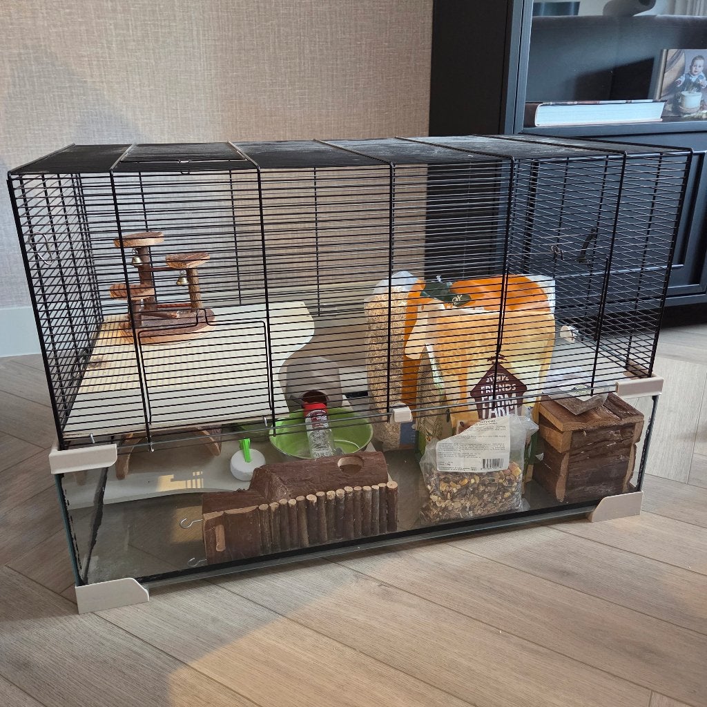 Knaagdieren verblijf - glas, Ophalen, Kooi, Gebruikt, 60 tot 90 cm