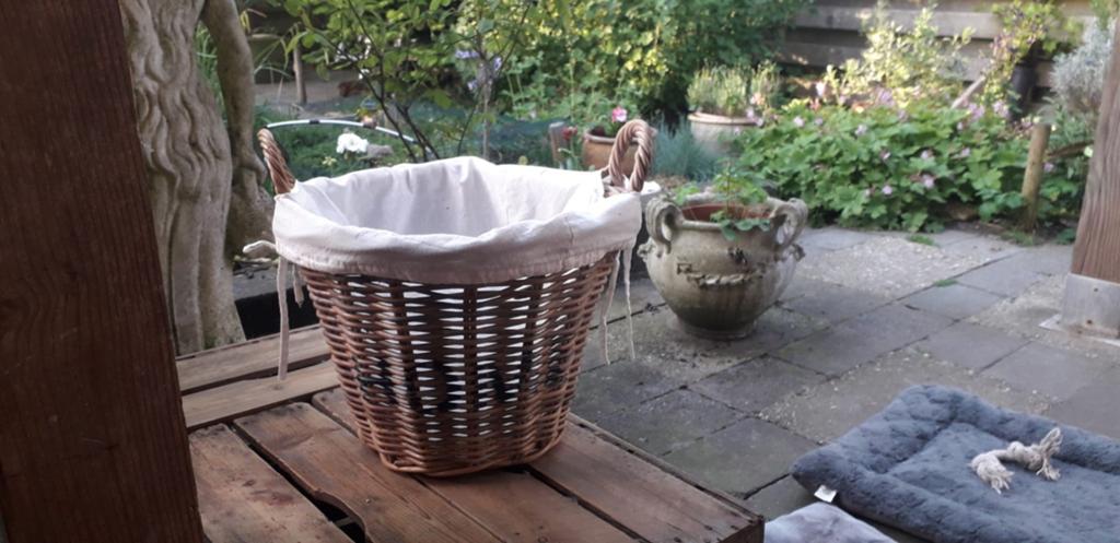 Mand, Ophalen, Rond, Riet